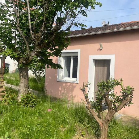Charmante Maison Avec Jardin Aux Portes De Paris Vitry-sur-Seine Dış mekan fotoğraf