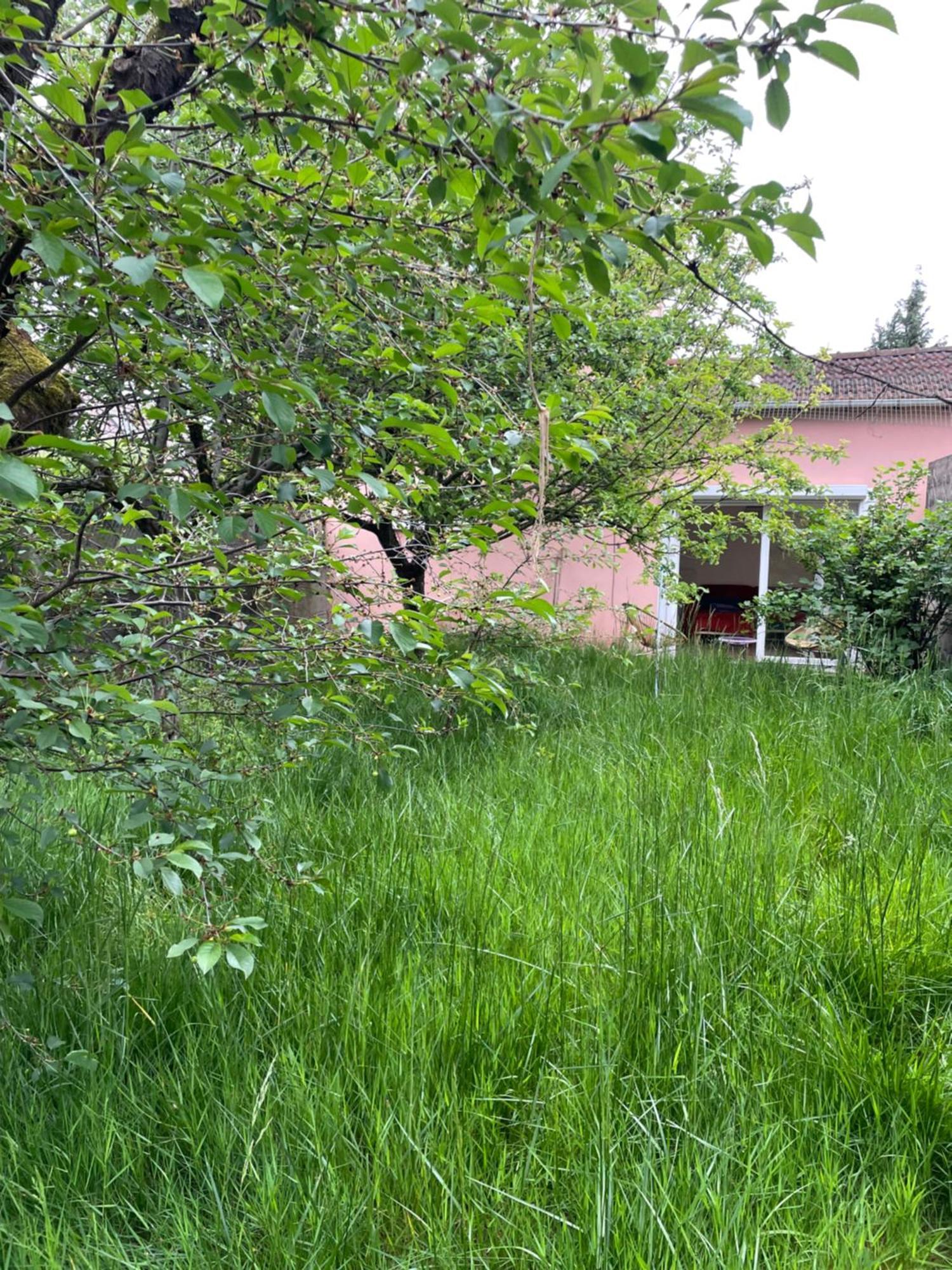 Charmante Maison Avec Jardin Aux Portes De Paris Vitry-sur-Seine Dış mekan fotoğraf